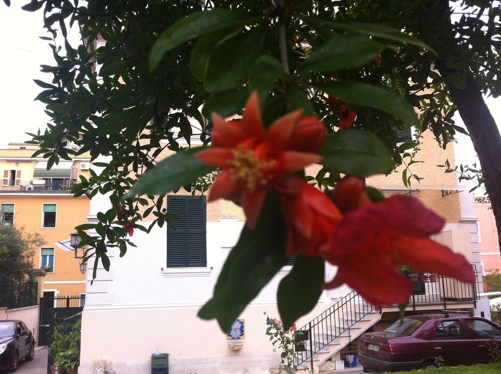 Bed and Breakfast Aristocarli Roma Exterior foto